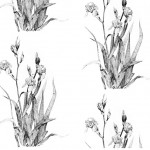Spoonflower design with graphite drawing of yellow flag iris